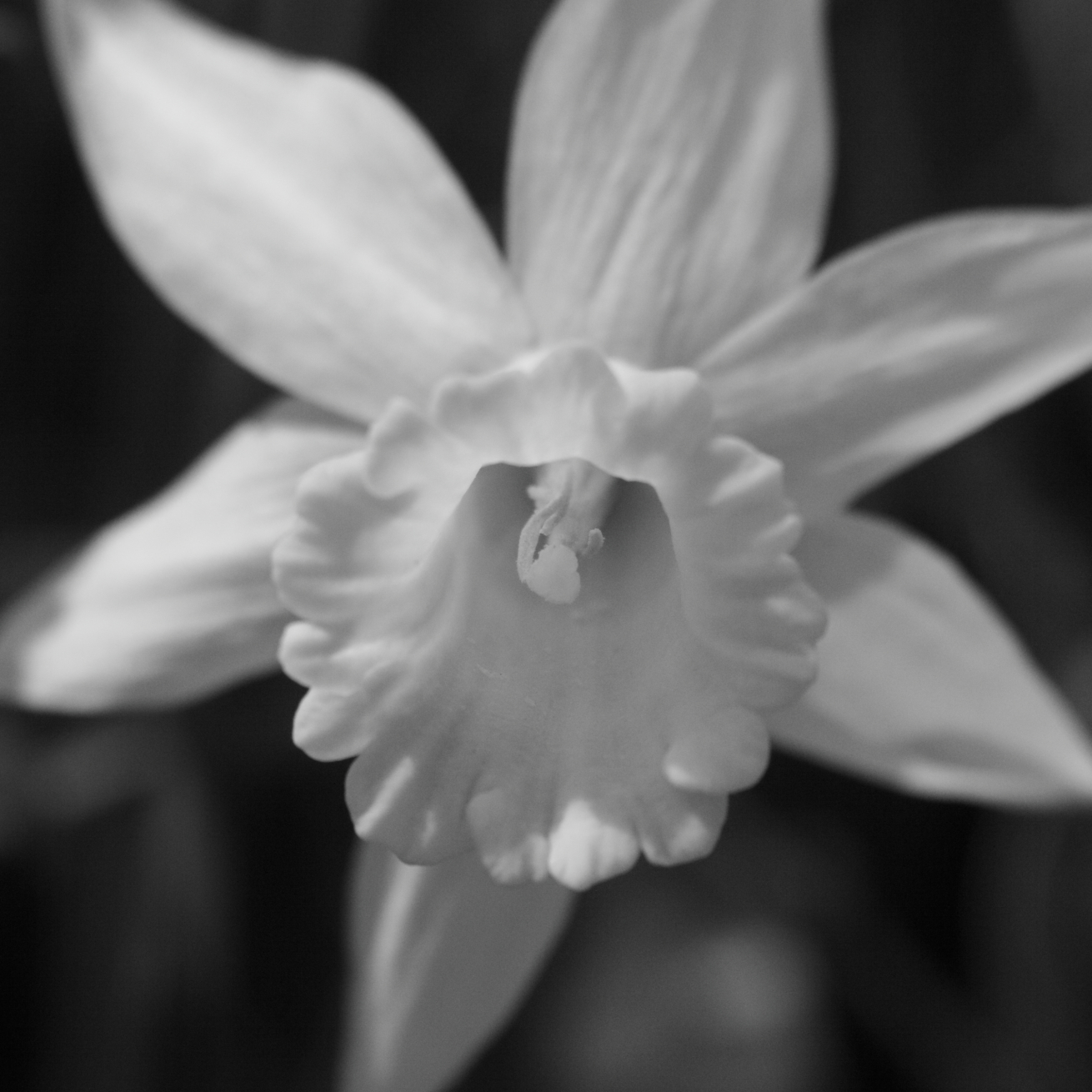 2015 04 18 HTP 000041963